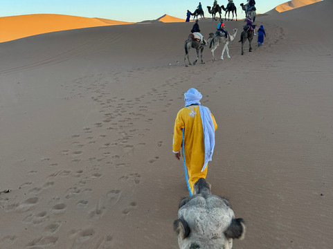 Nature Dream-瓦尔扎扎特必去景点