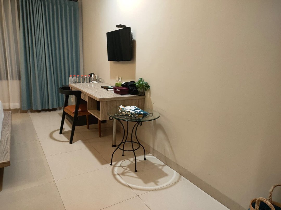 斯丽迪酒店主图