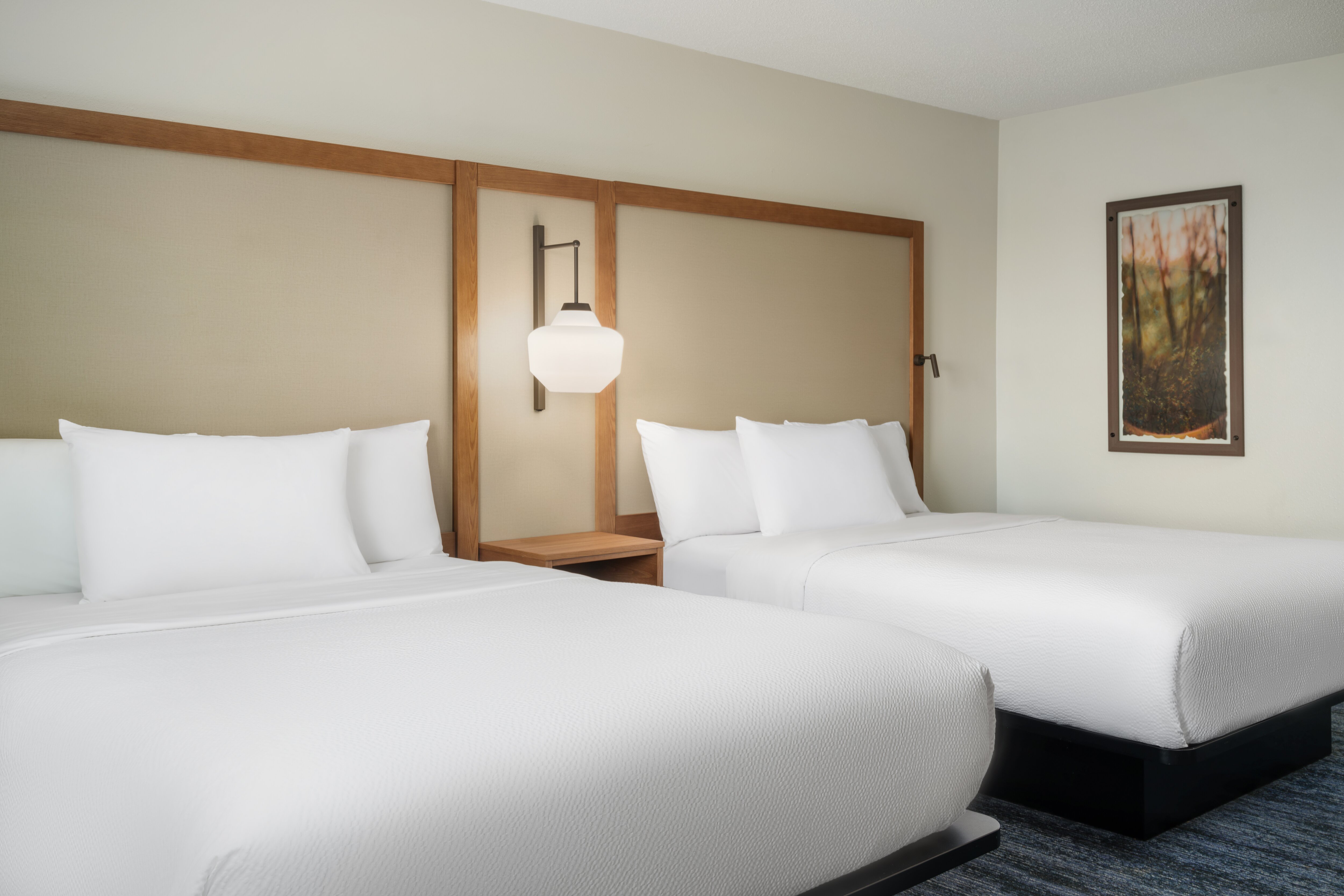 Fairfield by Marriott Inn & Suites Birmingham Bessemer-客卧