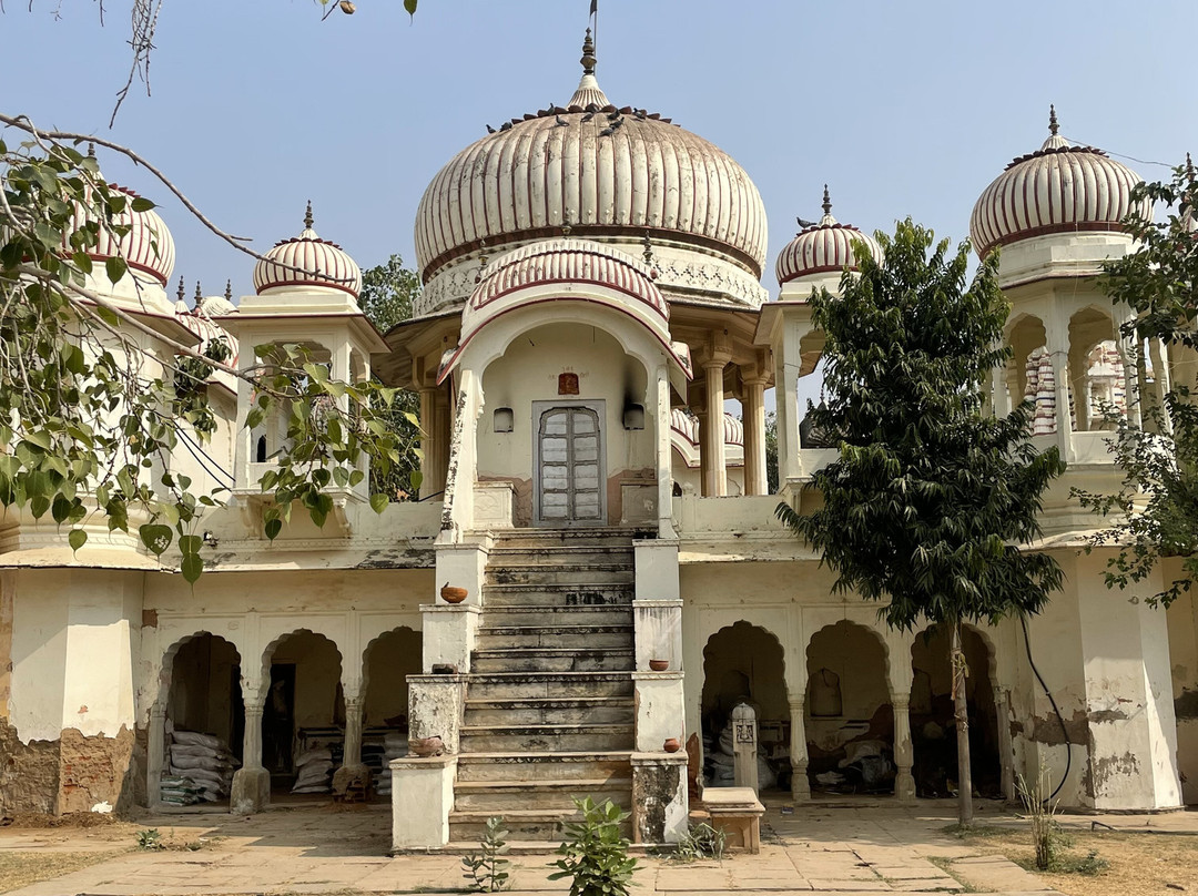 Rajesh Jangid Tourist Pension主图