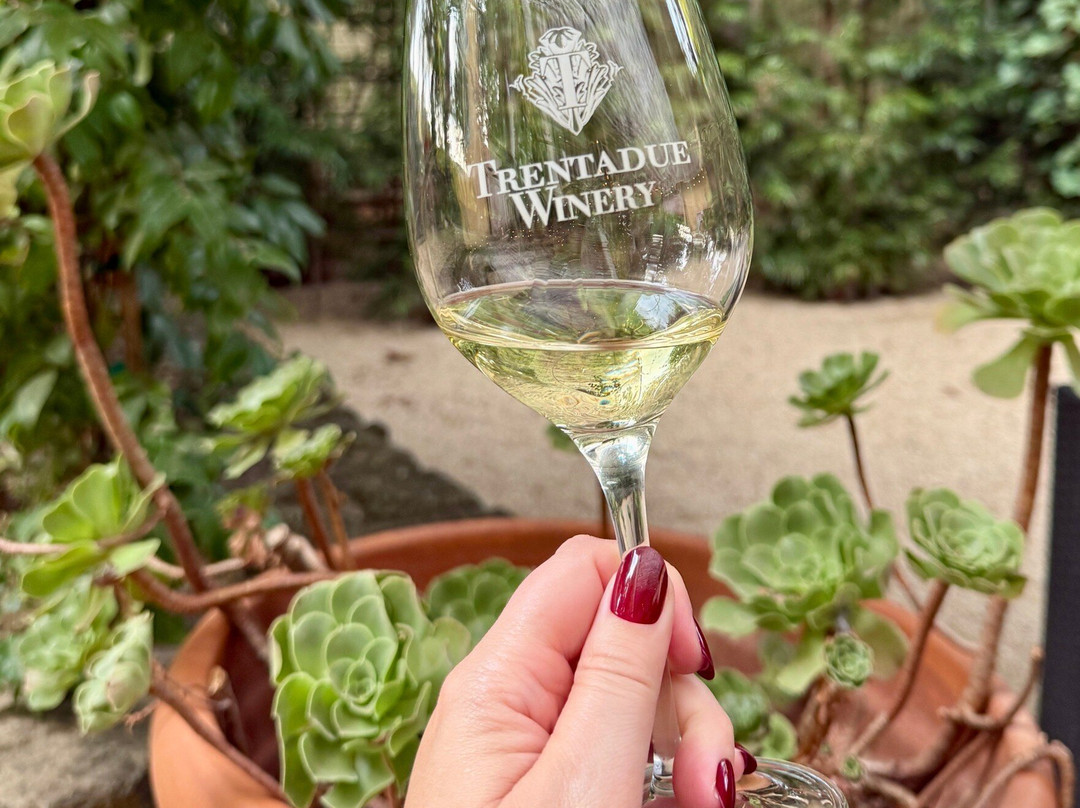 Trentadue Winery-Geyserville必去景点