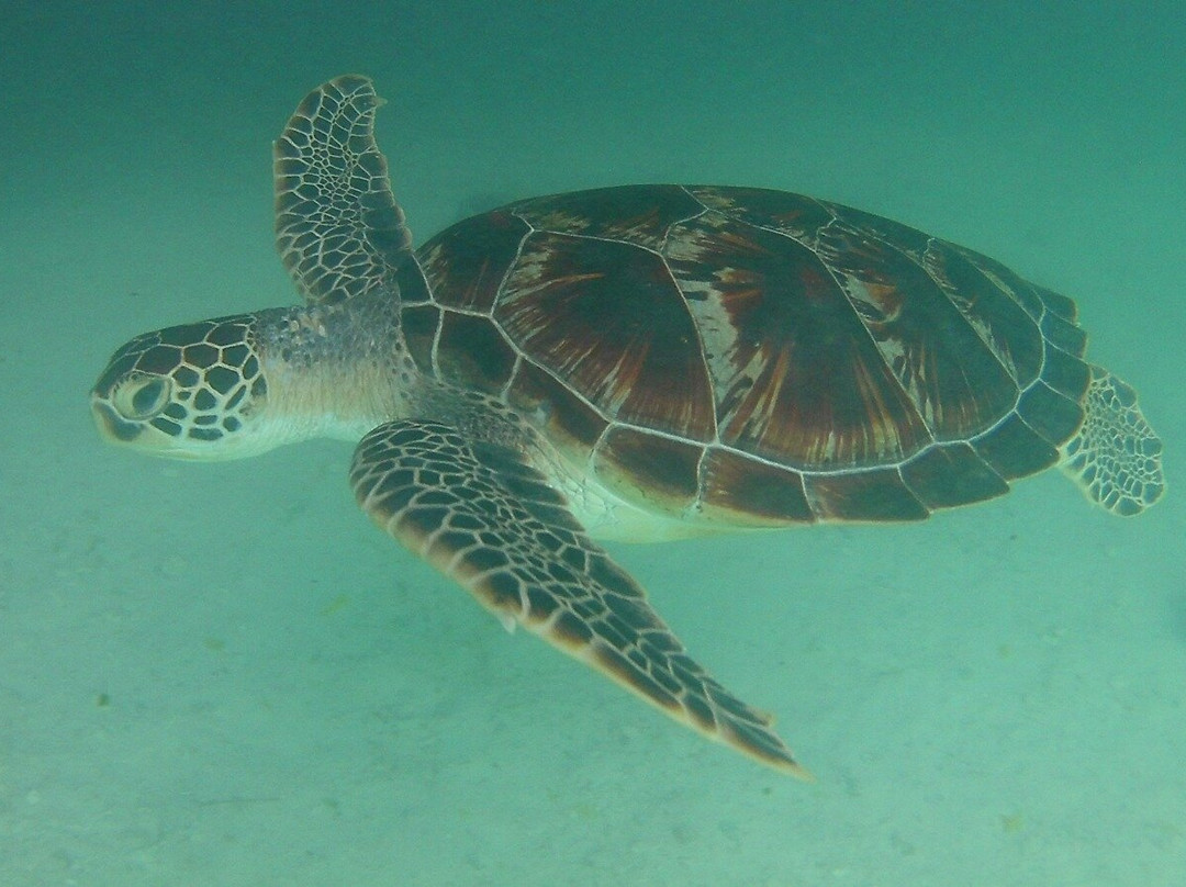 Jack Daniels-必韦久必去景点