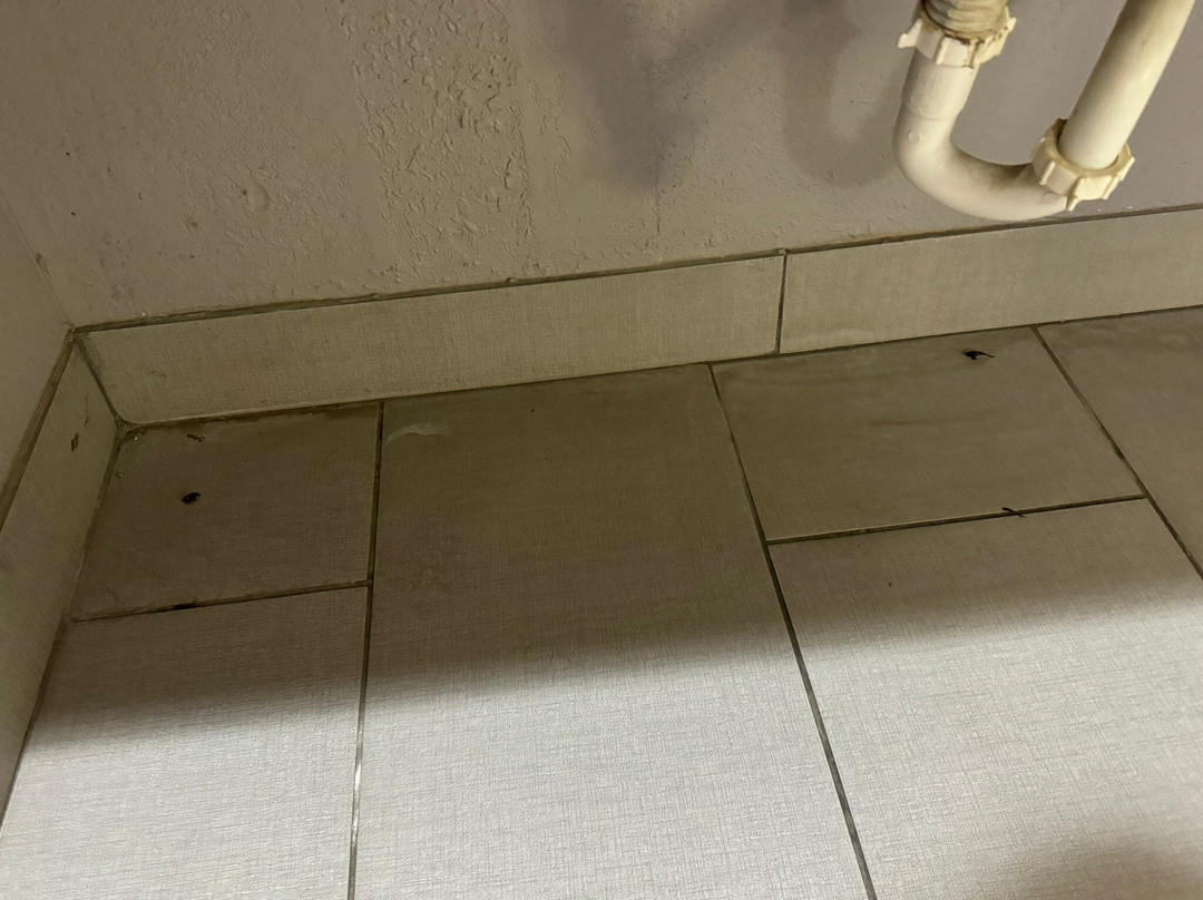 Quality Inn & Suites主图