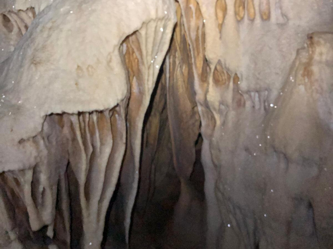 Grotta del Cervo景点图片