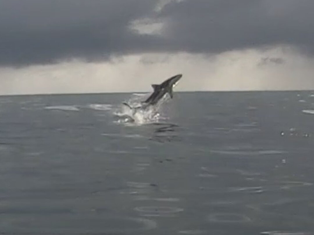 Palm Cove Watersports-棕榈湾必去景点