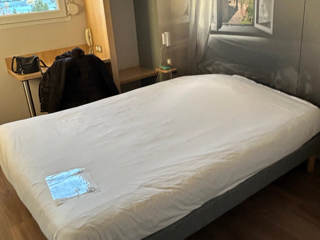 B&B HOTEL Saint-Étienne Monthieu主图