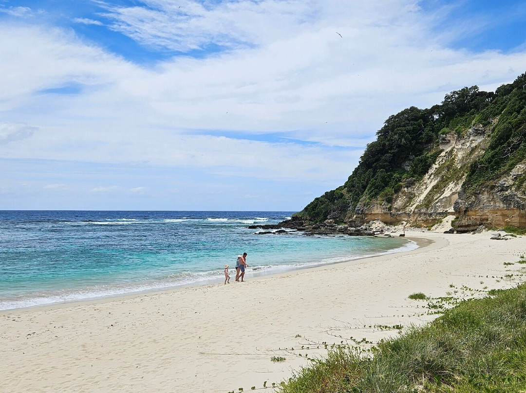 Ned's Beach-豪勋爵群岛必去景点