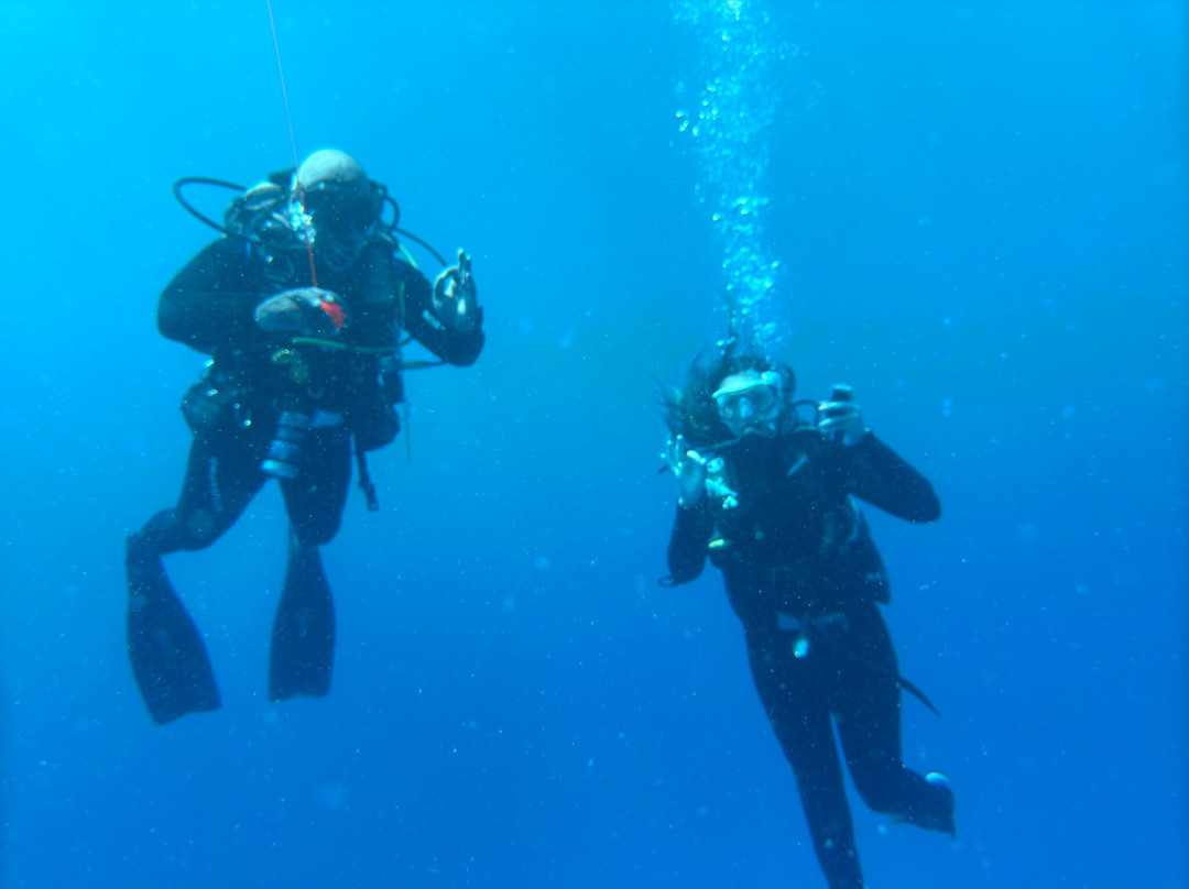 Dive Dream Divers景点图片