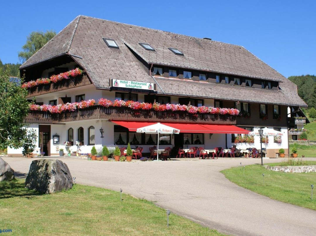 Waldshut-Tiengen酒店住宿-Schoepperle