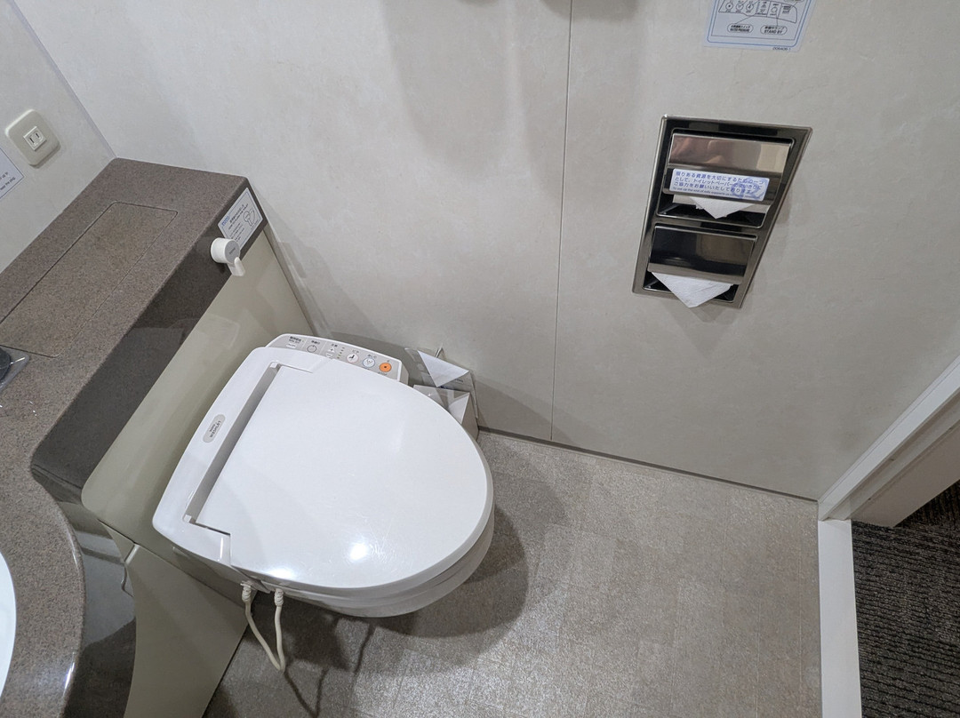 川崎戴哇鲁内酒店主图