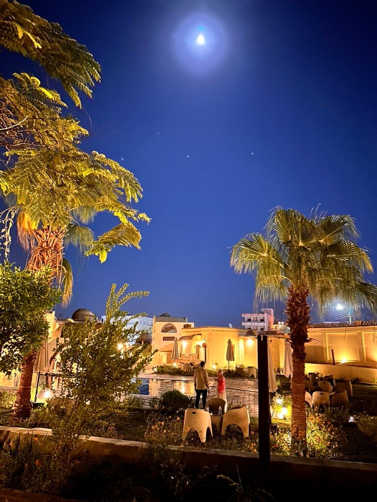 Elphardous Oasis Hotel-泳池