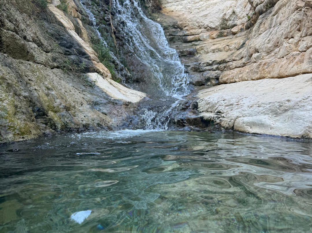 Nachal Arugot Nature Reserve-Masada必去景点