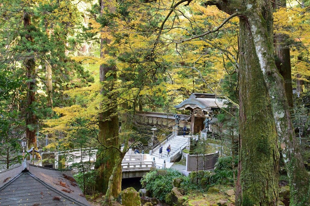 Daiyuzan Saijoji Temple (Doryoson)景点图片