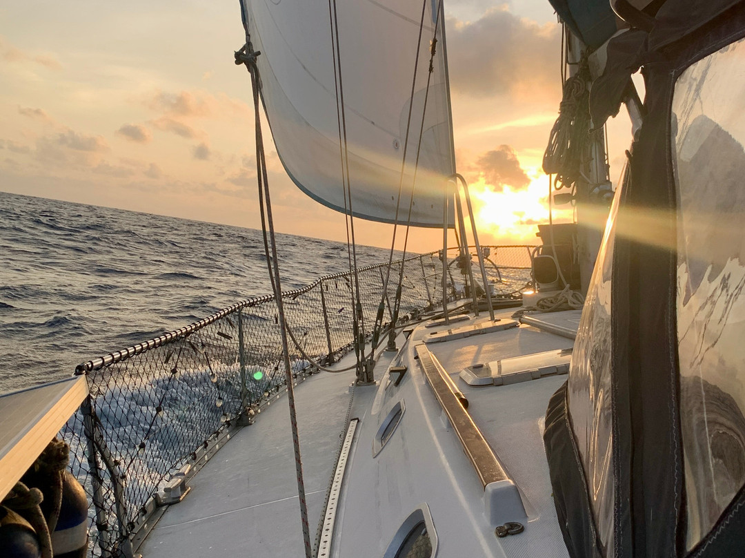 Sailing Sophisticated Lady-Bocas del Toro必去景点