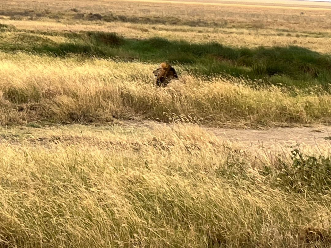 Evans Adventure Safaris-莫西必去景点