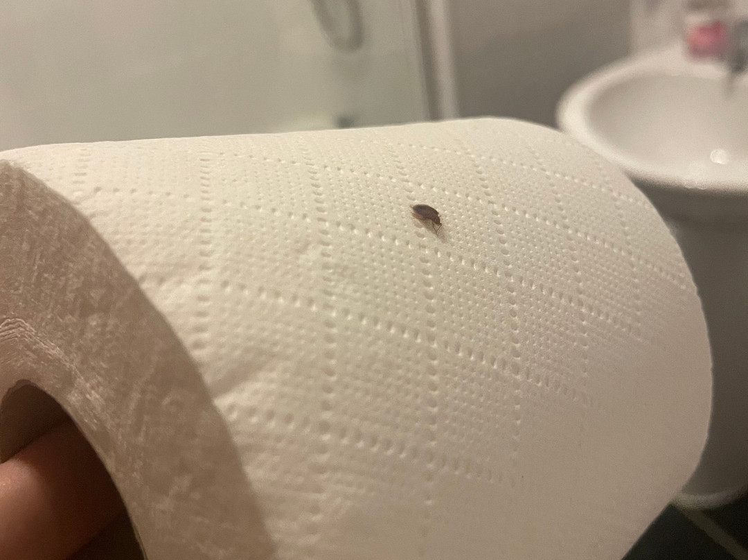 The George Hotel主图