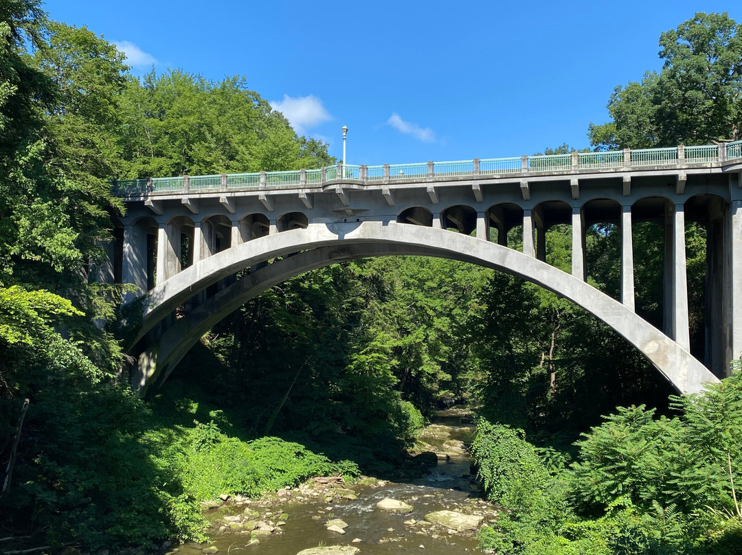 Lanterman's Mill-扬斯敦必去景点