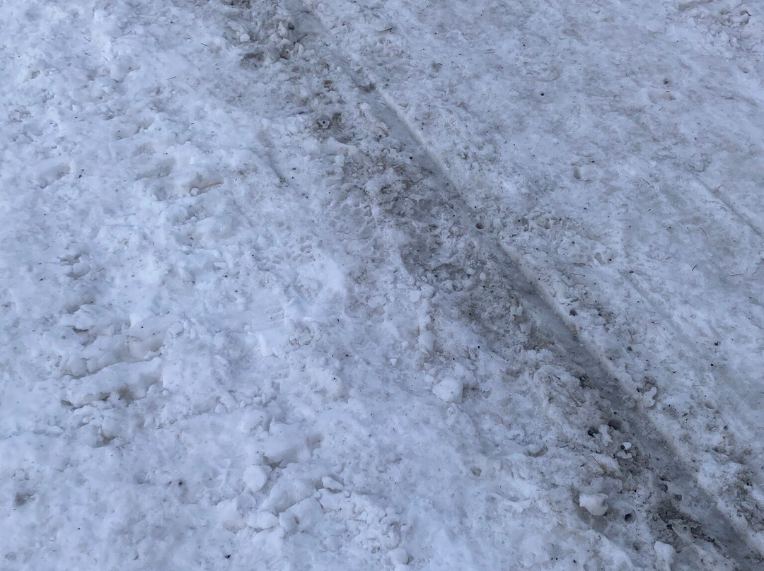 Bergbahnen Motta Naluns景点图片