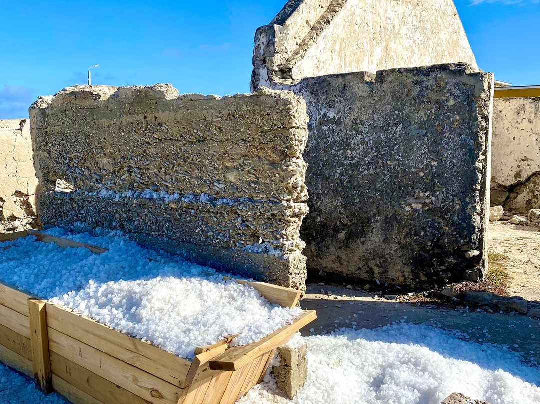 Salt Pier-Kralendijk必去景点
