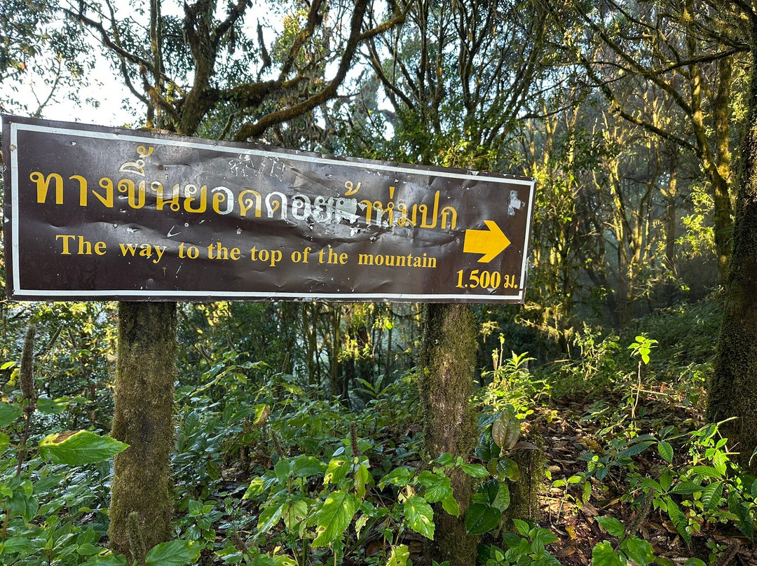 Doi Pha Hom Pok National Park-芳县必去景点