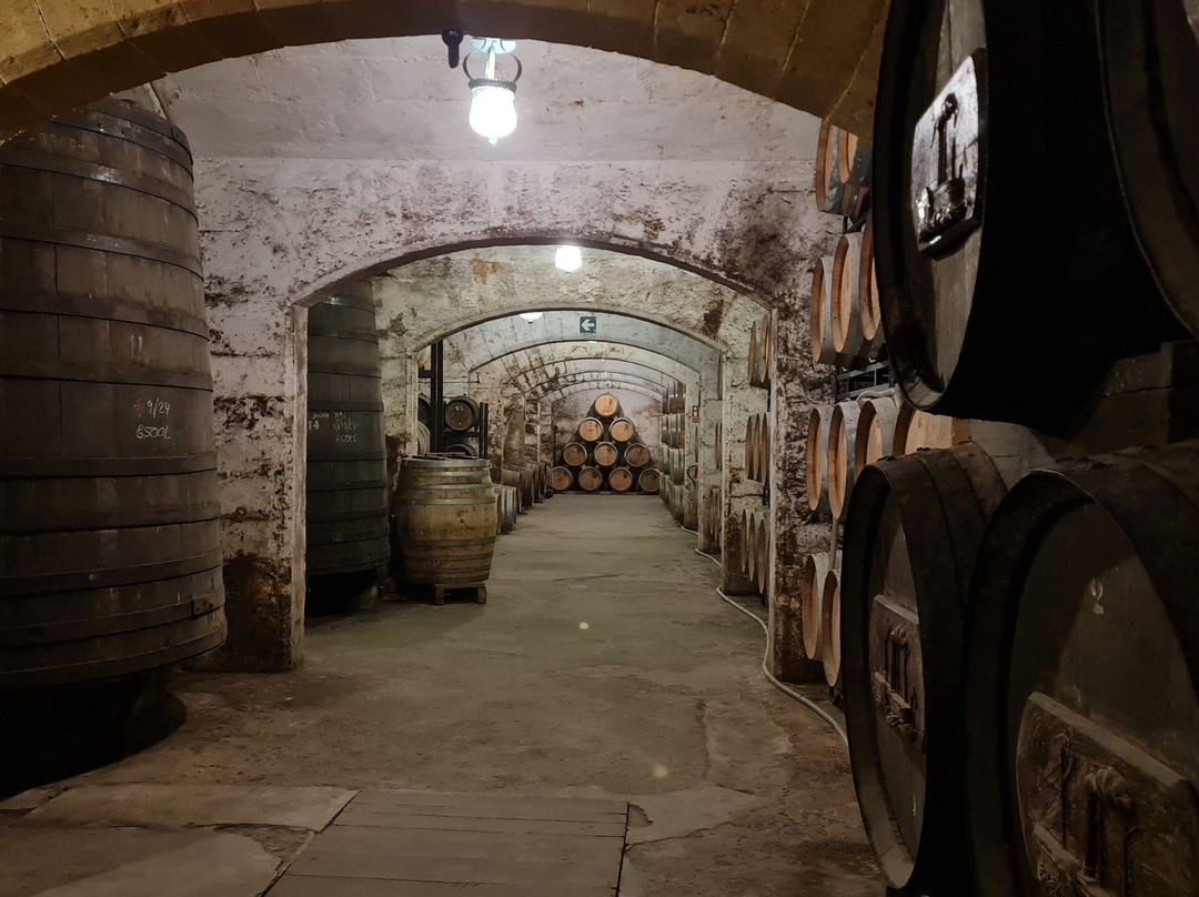 Bodegas Suau景点图片