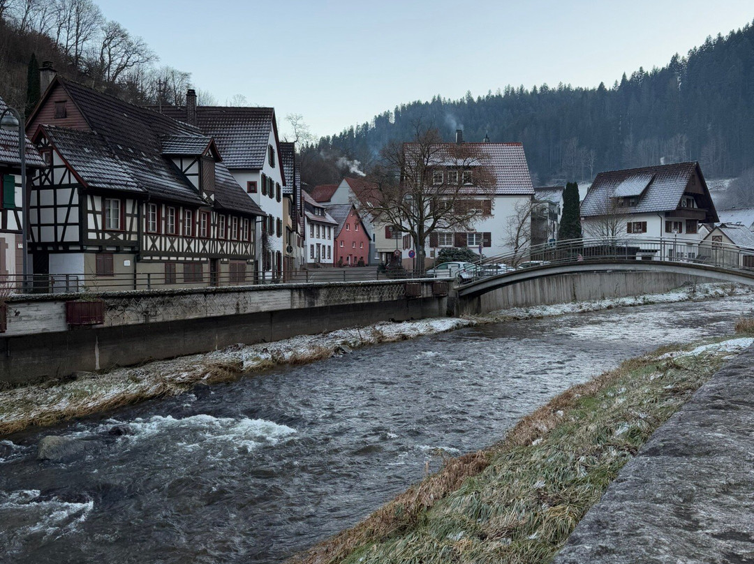 Adler Schiltach Boutique Hotel & Restaurant主图