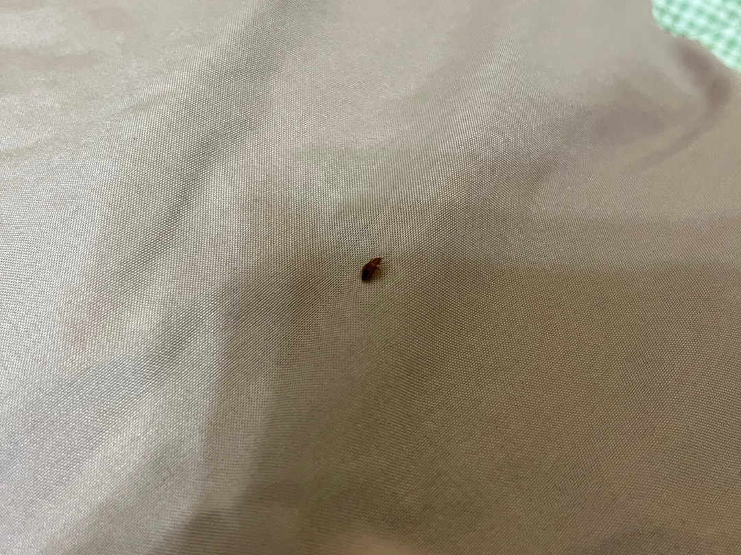 The Inn At Piggott主图