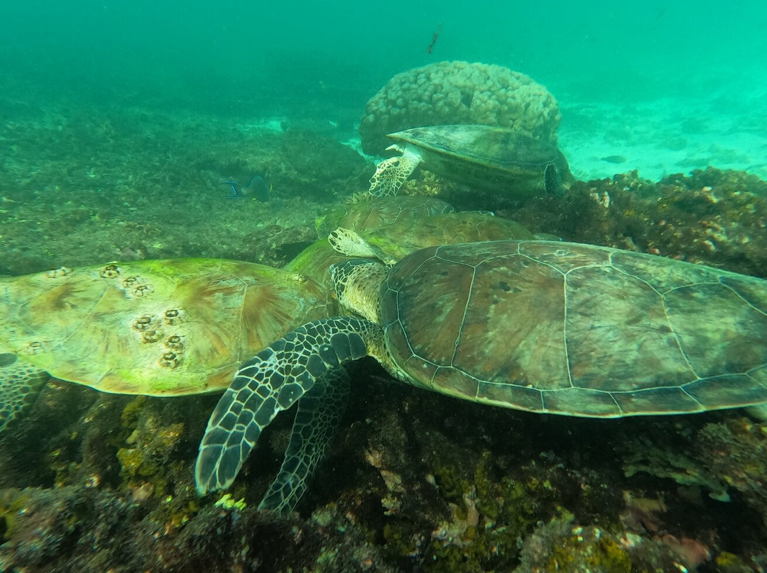Marmar Tourism and Marine-马斯喀特必去景点