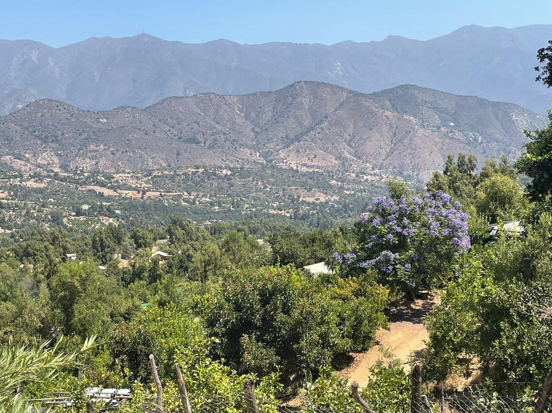 Swiss Eco Lodge La Linda Loma主图