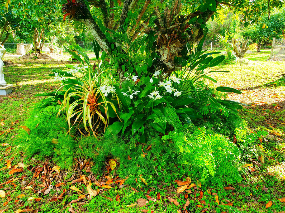 Mery Farm-霍姆斯特德必去景点