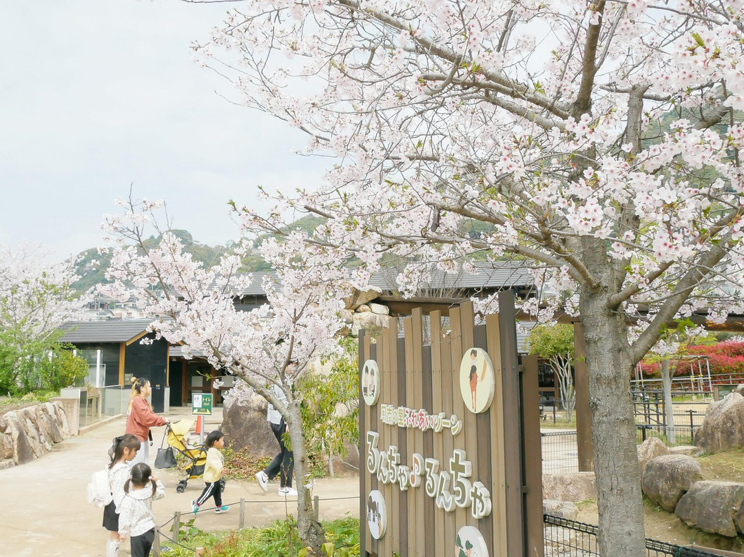 Tokuyama Zoo景点图片