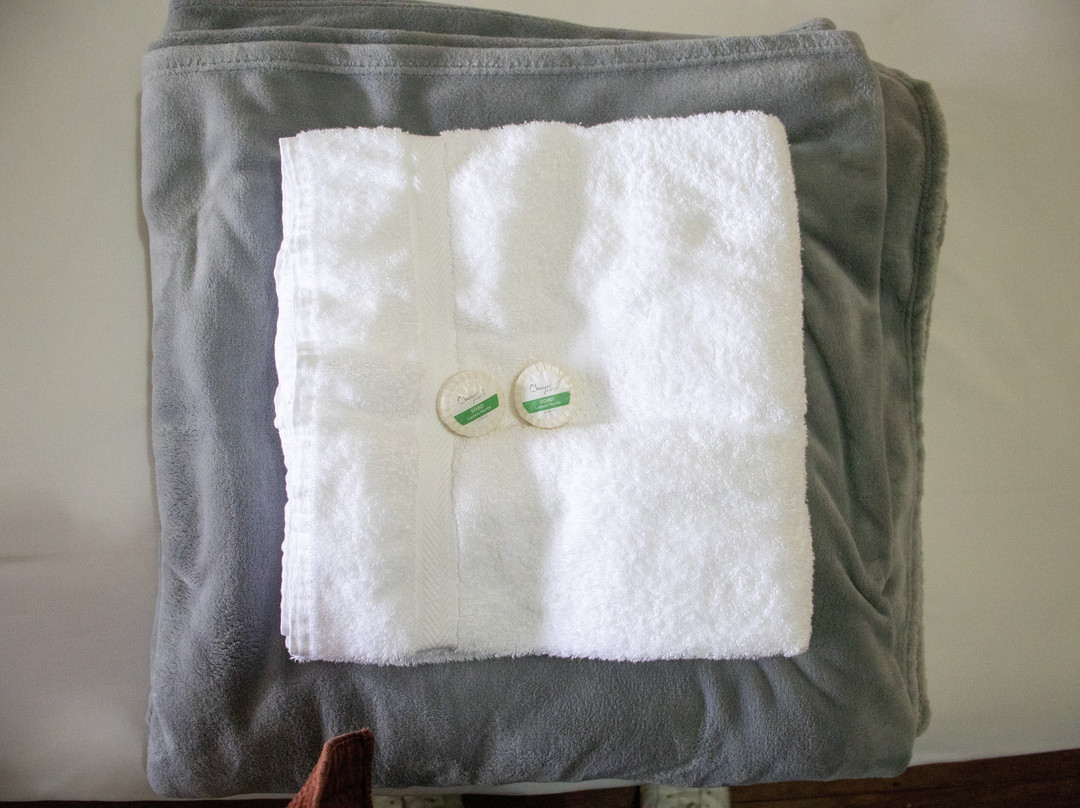 Bellbird Hotel主图