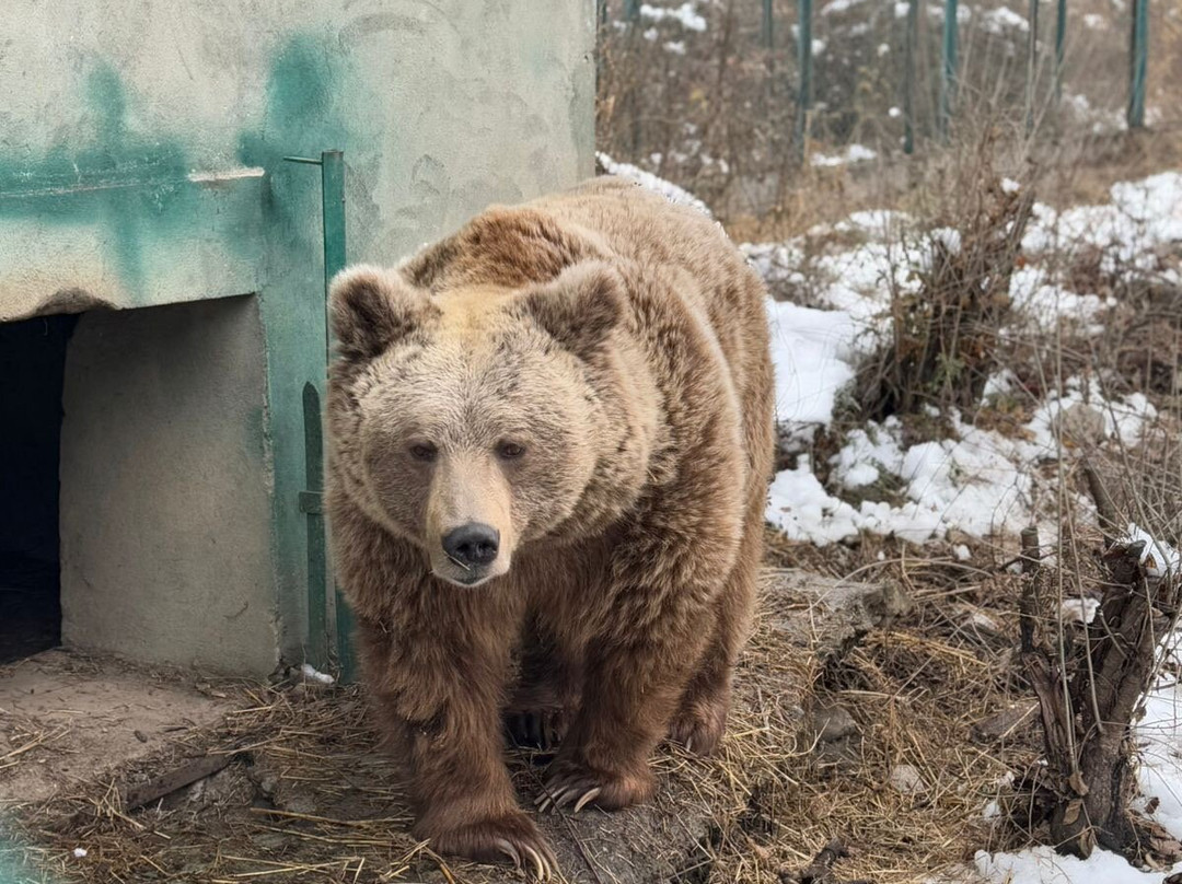 Dachigam Wildlife Sanctuary-斯利那加必去景点