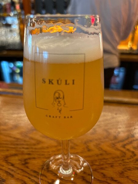 Skuli Craft Bar-雷克雅未克必去景点
