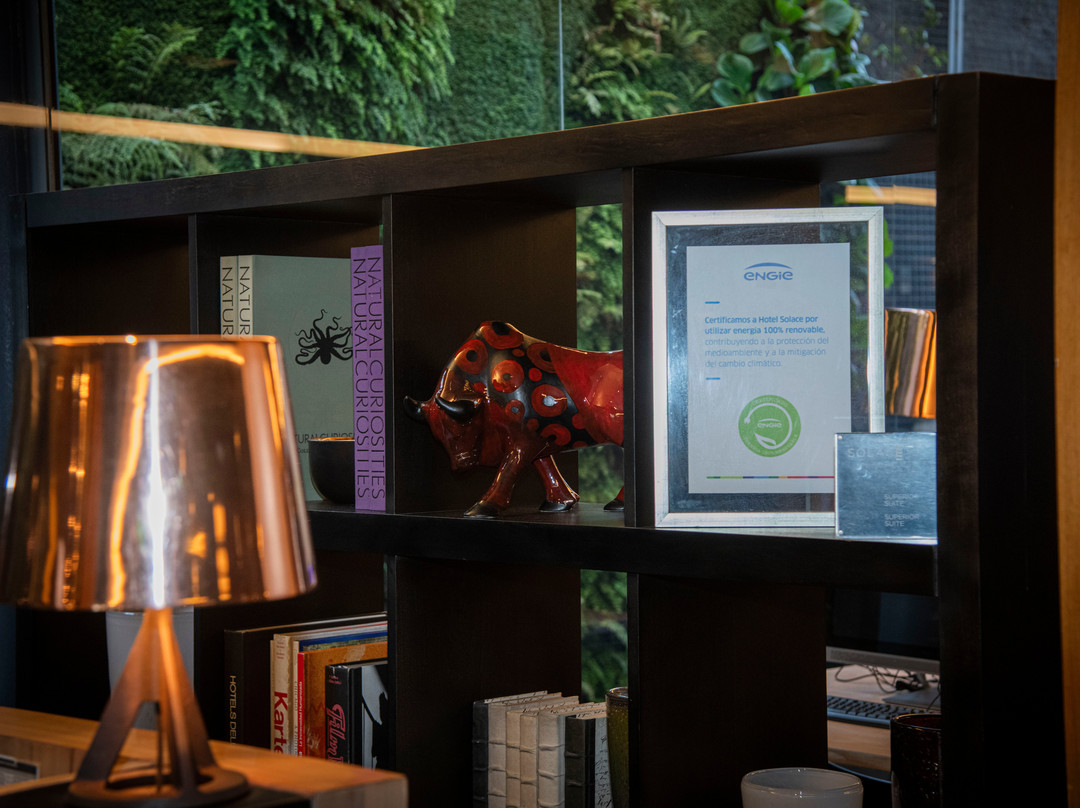 圣地亚哥索拉斯酒店主图