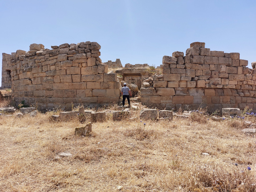 Madaure Ruins-Souk Ahras必去景点