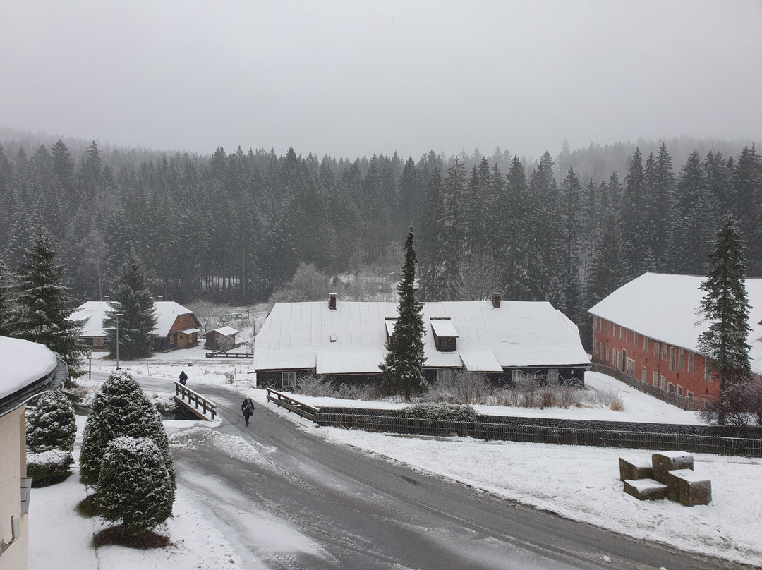 Waldhotel Seebachschleife主图