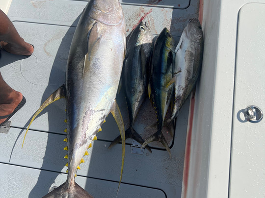 Locals Offshore Fiji-丹娜努岛必去景点