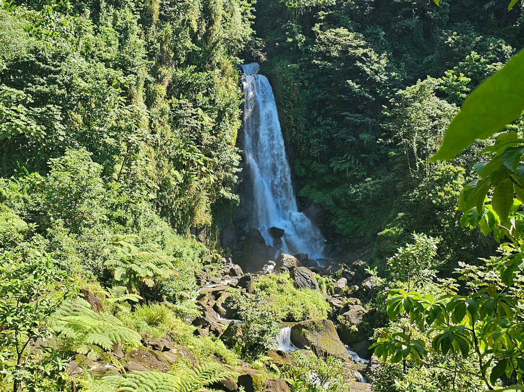 Trafalgar Falls-Morne Trois Pitons National Park必去景点