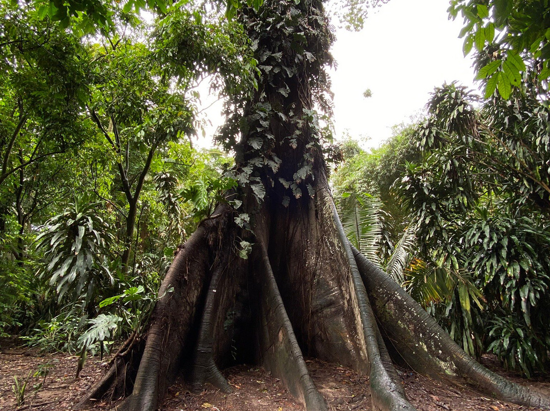 Museu Paraense Emílio Goeldi-贝伦必去景点