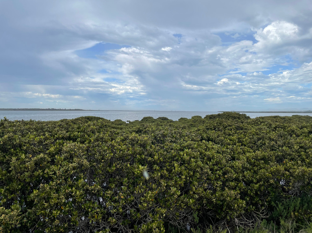Christopher Robinson Walking Trail-Port Albert必去景点