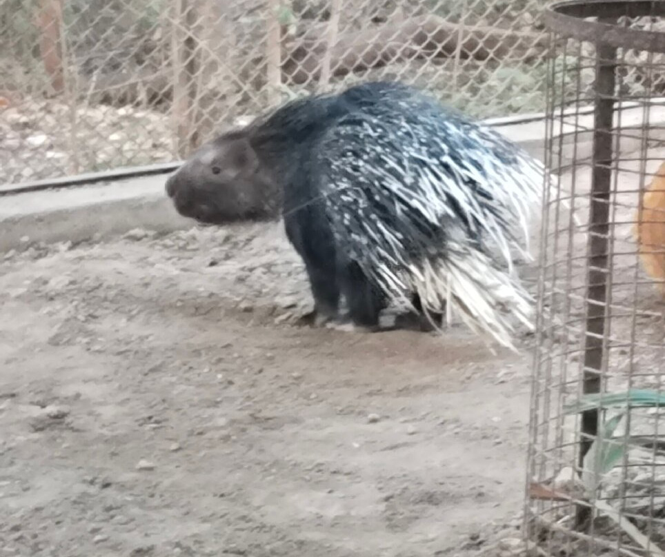 Pradyuman Park-杰拉果德必去景点