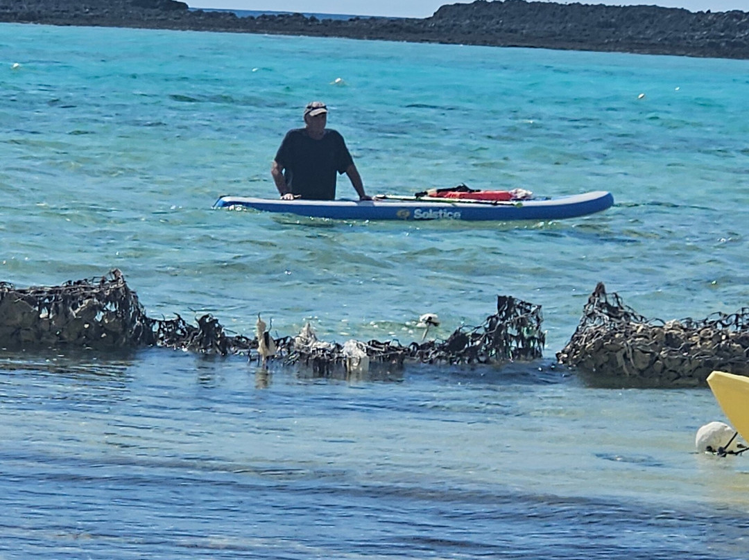 Paradise Cove-弗里波特必去景点