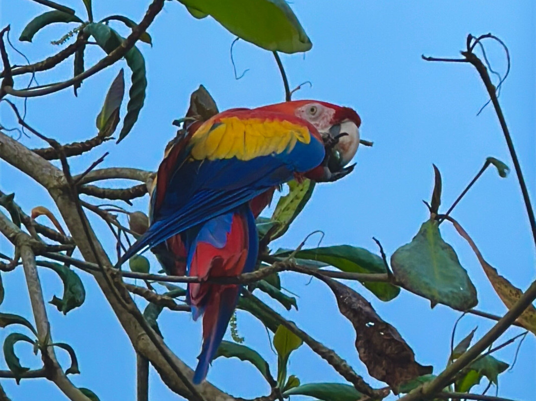 La Fortuna Travels-Muelle必去景点