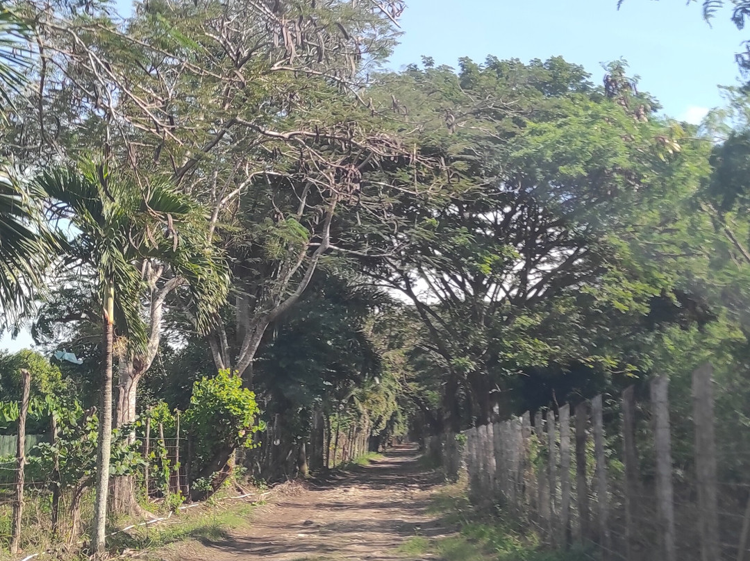 Zemis Tobacco and Cigars Factory-圣地亚哥必去景点
