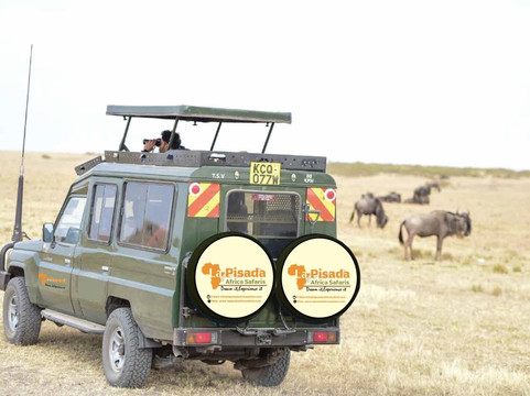 La Pisada Africa Safaris-内罗毕必去景点