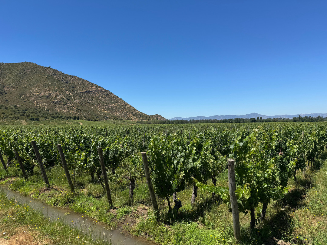 Viña Neyen de Apalta-圣克鲁斯必去景点