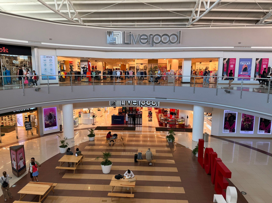 Liverpool-瓦拉塔港必去景点