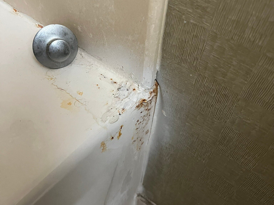 Quality Suites Sherman主图