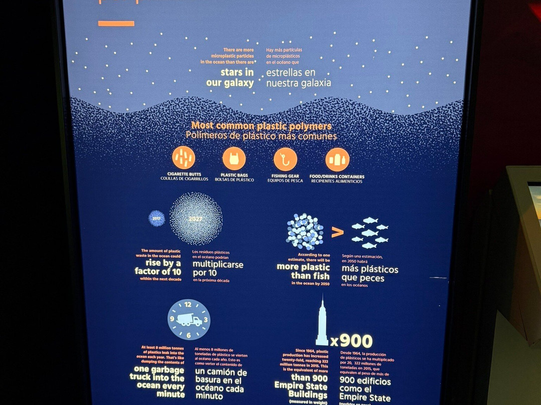 Museo The Ocean Race景点图片